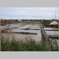 Sallines 2.jpg